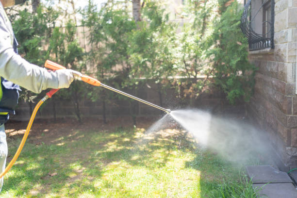 Best Wasp Removal Services  in Perry, KS