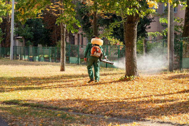 Best Residential Pest Control  in Perry, KS