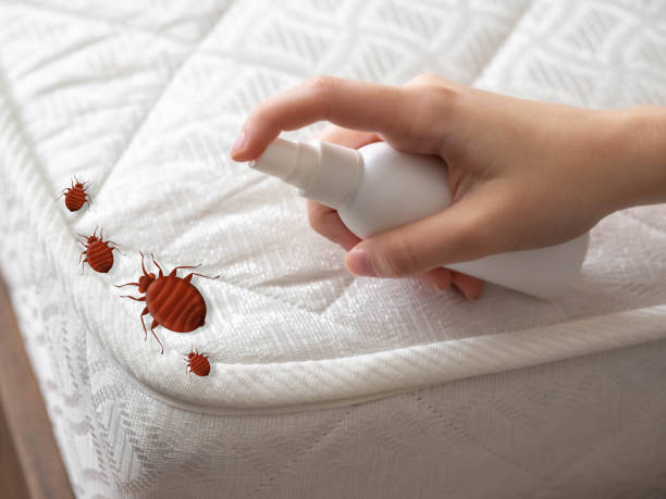 Reliable Perry, KS Pest Control Solutions