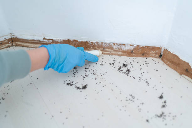 Best Ant Control Services  in Perry, KS