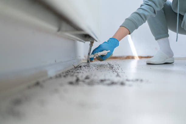 Pest Prevention Services in Perry, KS