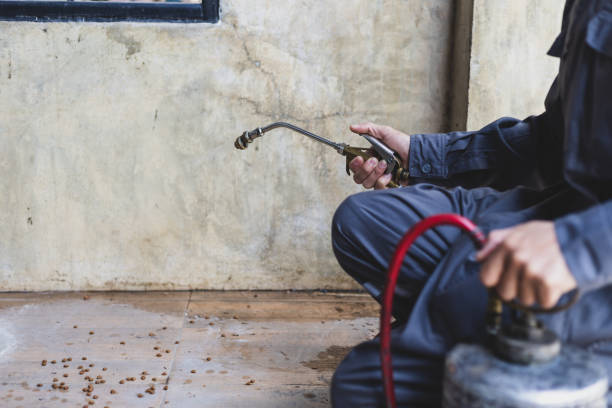 Best Best Pest Control Companies  in Perry, KS